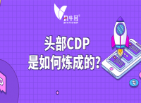 執(zhí)牛耳十問：頭部CDP是如何煉成的？