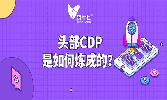 執(zhí)牛耳十問：頭部CDP是如何煉成的？