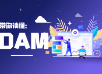 DAM，增強企業(yè)競爭力的不二法門